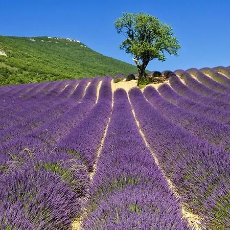 Campanile Sud 3* Valence