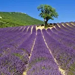 Campanile Sud 3* Valence (Drome)